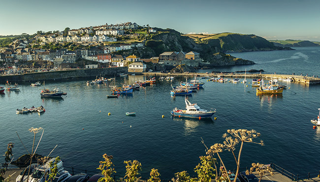 Boats in the Harbour at Mevagissey Thumbnail