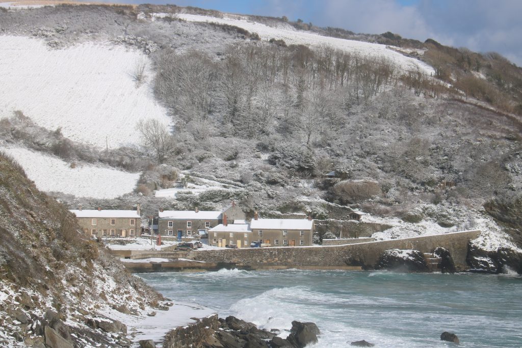 Unique Things to Do in Cornwall at Christmas Caerhays Holidays