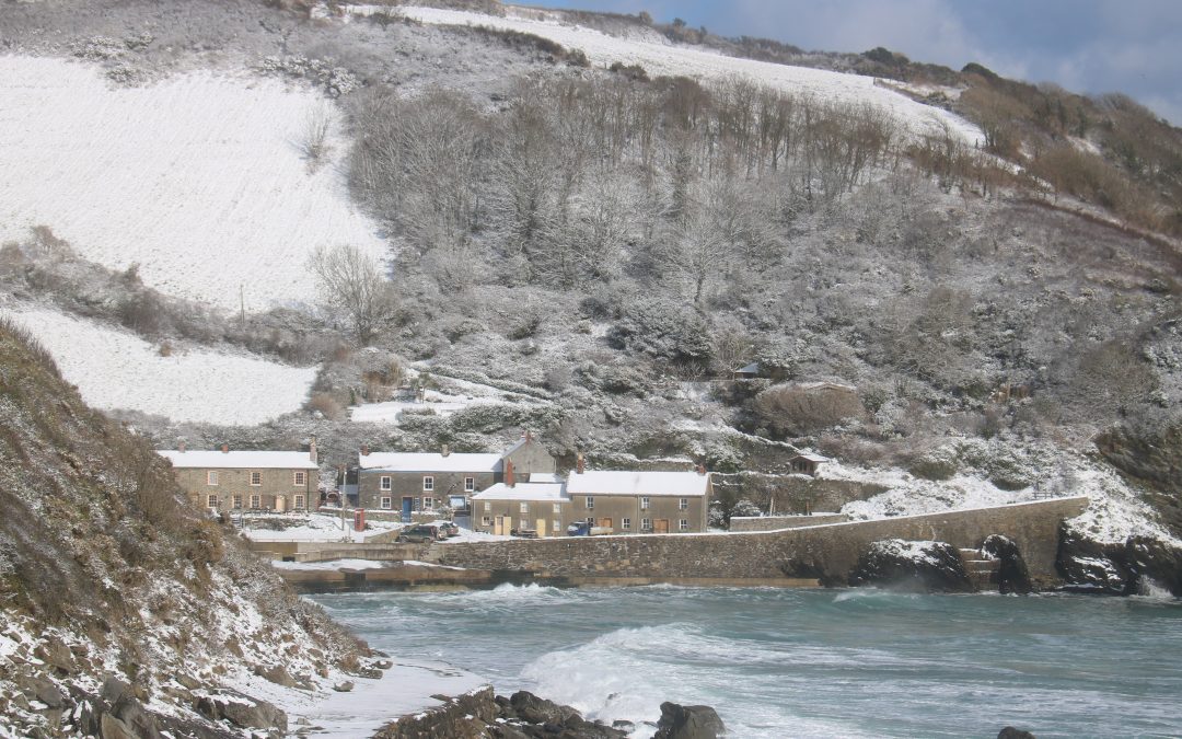 Unique Things to Do in Cornwall at Christmas