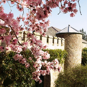 The Vean Drawing Room Accommodation Square Image