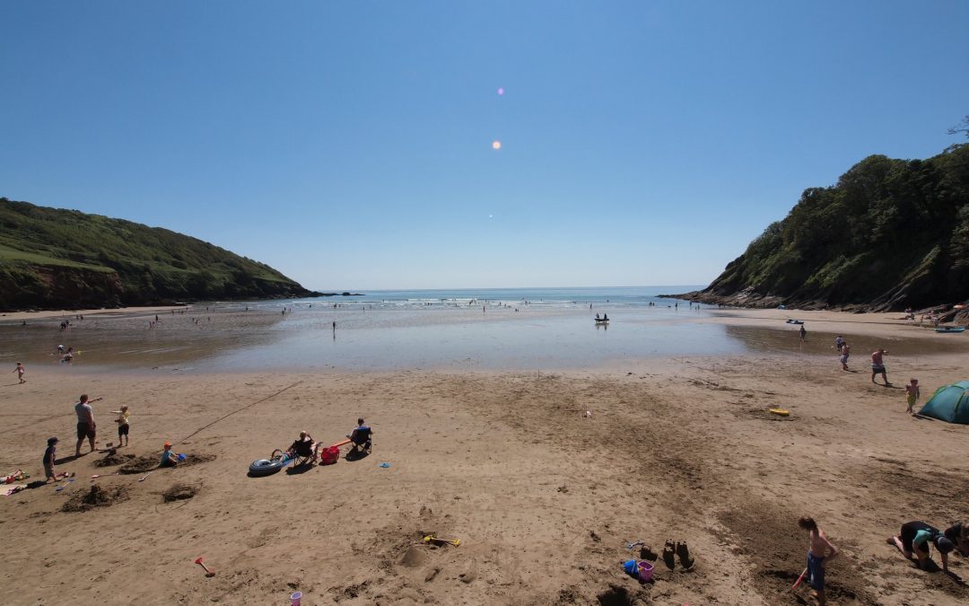 Helping to Support A Greener Cornwall: Introducing The ‘Love Where You Are’ Project