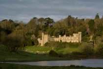 Caerhays Castle  by Ellen Rooney