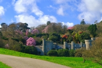 Castle in spring