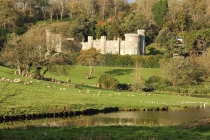 Castle over lake